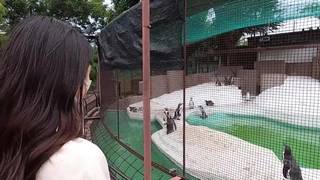 孟子这声音爽呀淫水四溅流满蛋蛋