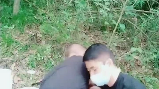 欧洲杯历届冠军还没离婚就出来搞3