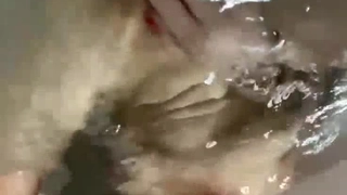 高颜值极品姐妹花双女秀 身材一级棒 互摸咪咪 妹妹露逼诱惑 姐姐道具插逼自慰高潮喷水大秀